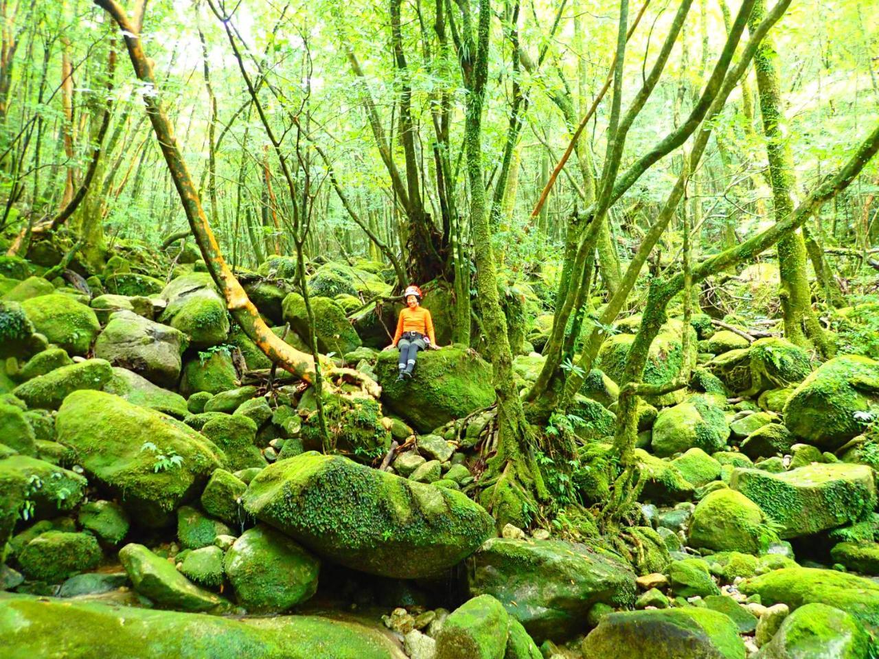 Yakushima Cottage Morino Fairy All Cotage With Open-Air Bath Luaran gambar