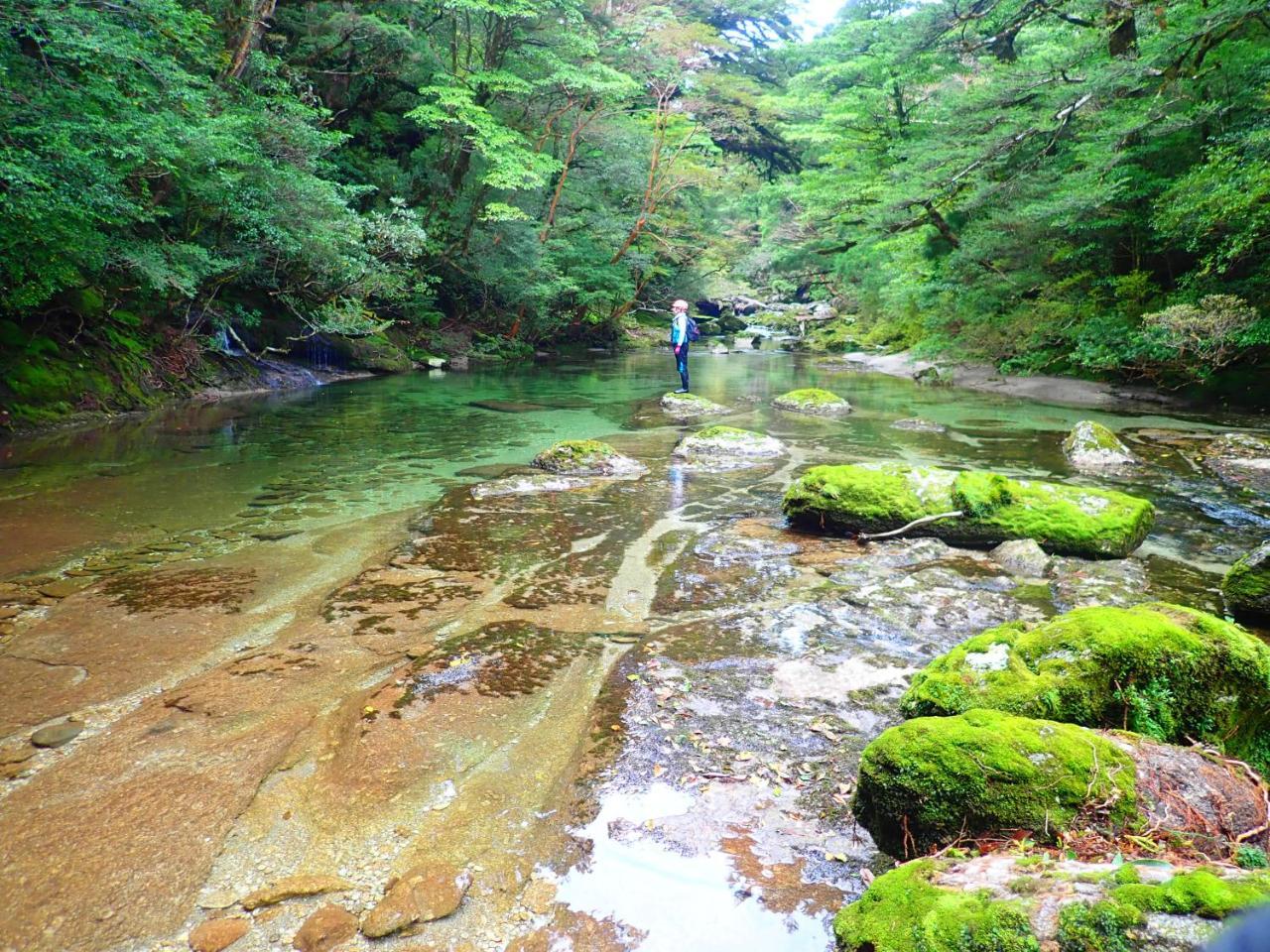 Yakushima Cottage Morino Fairy All Cotage With Open-Air Bath Luaran gambar