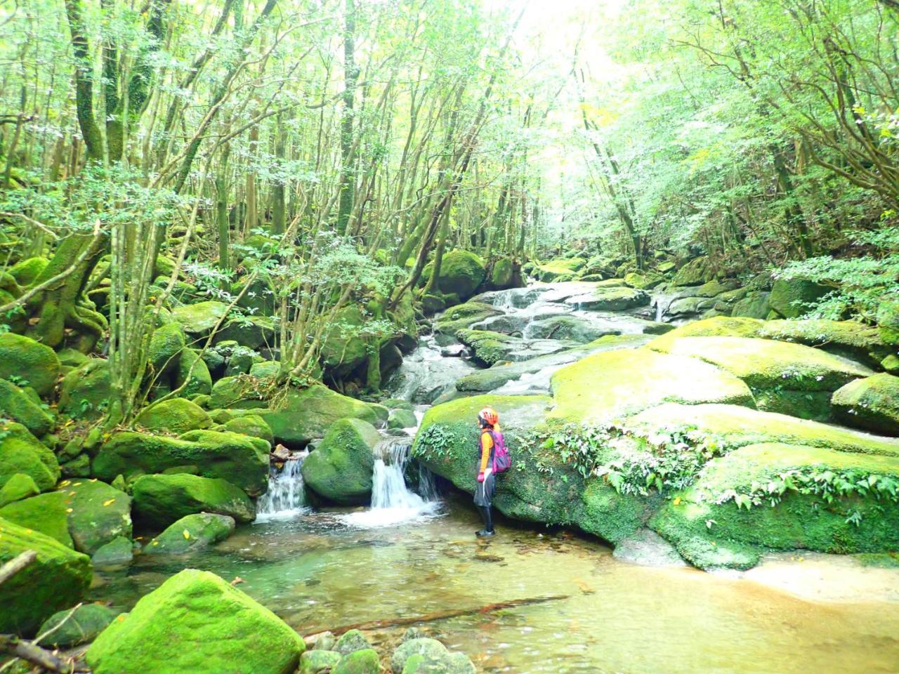 Yakushima Cottage Morino Fairy All Cotage With Open-Air Bath Luaran gambar